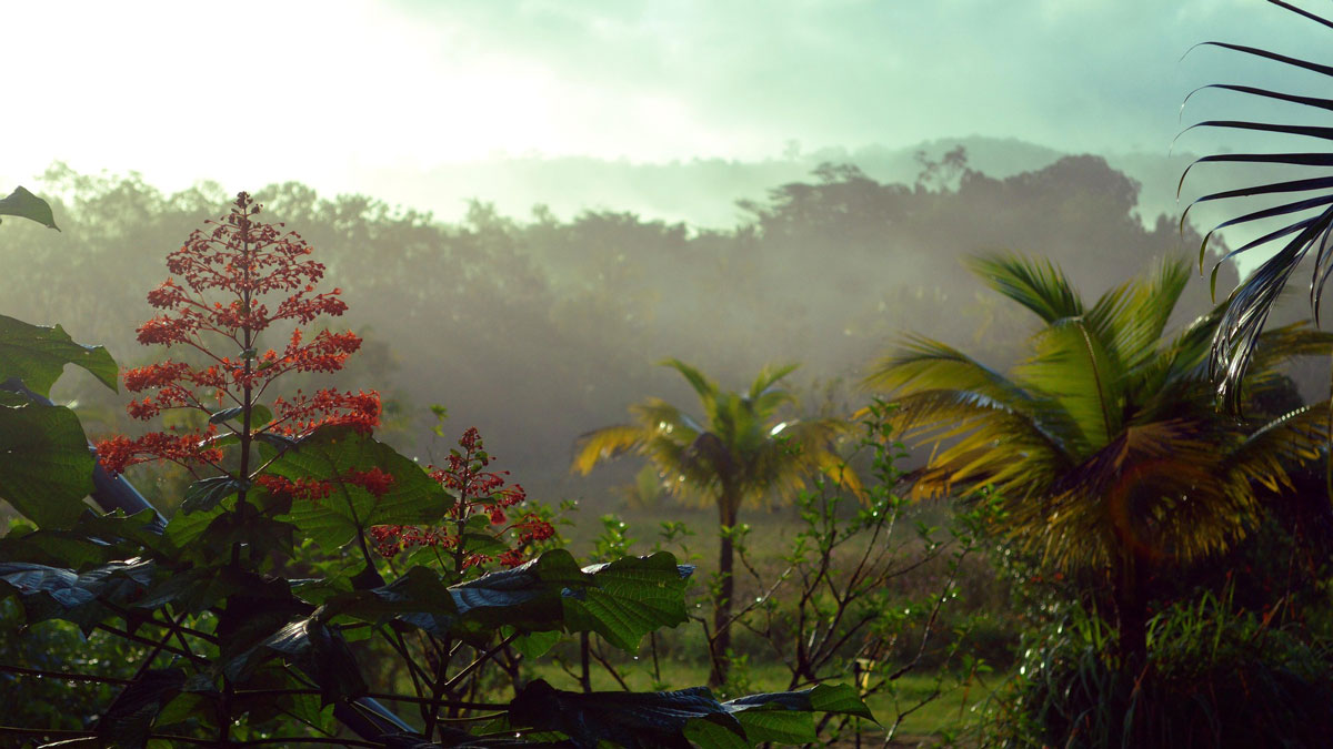Live-School-Empowering-Local-Initiatives-in-Guyana