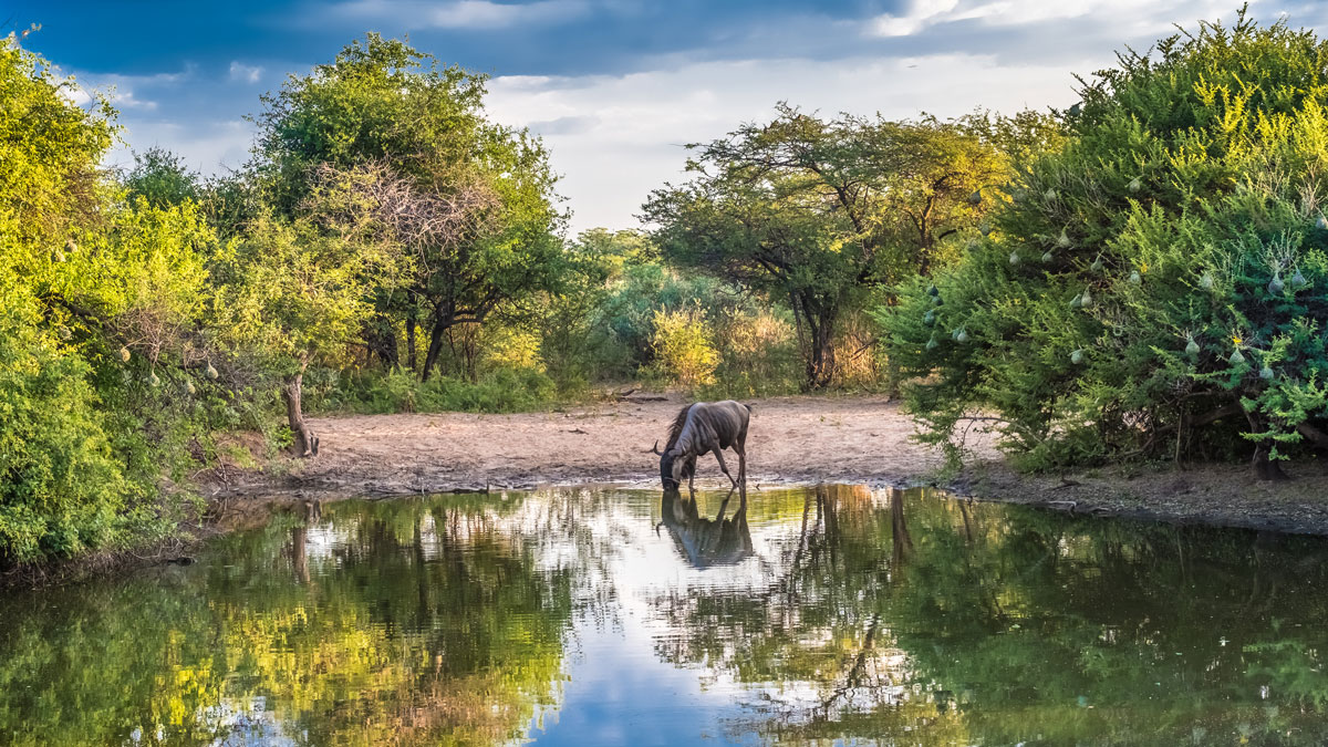 Live School Field Report from Rwanda