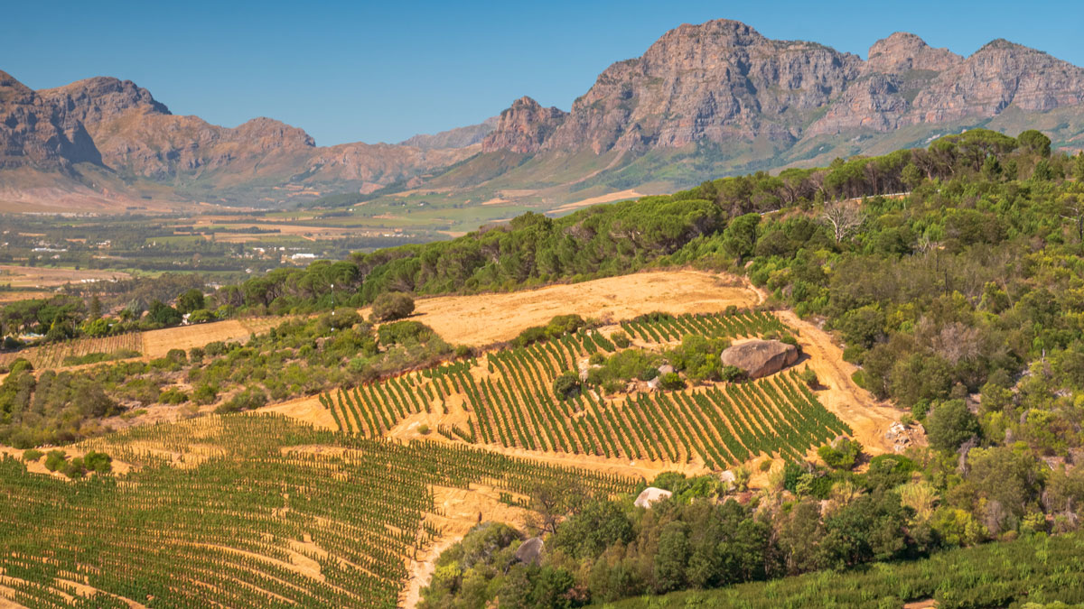 News Bullet - March 10