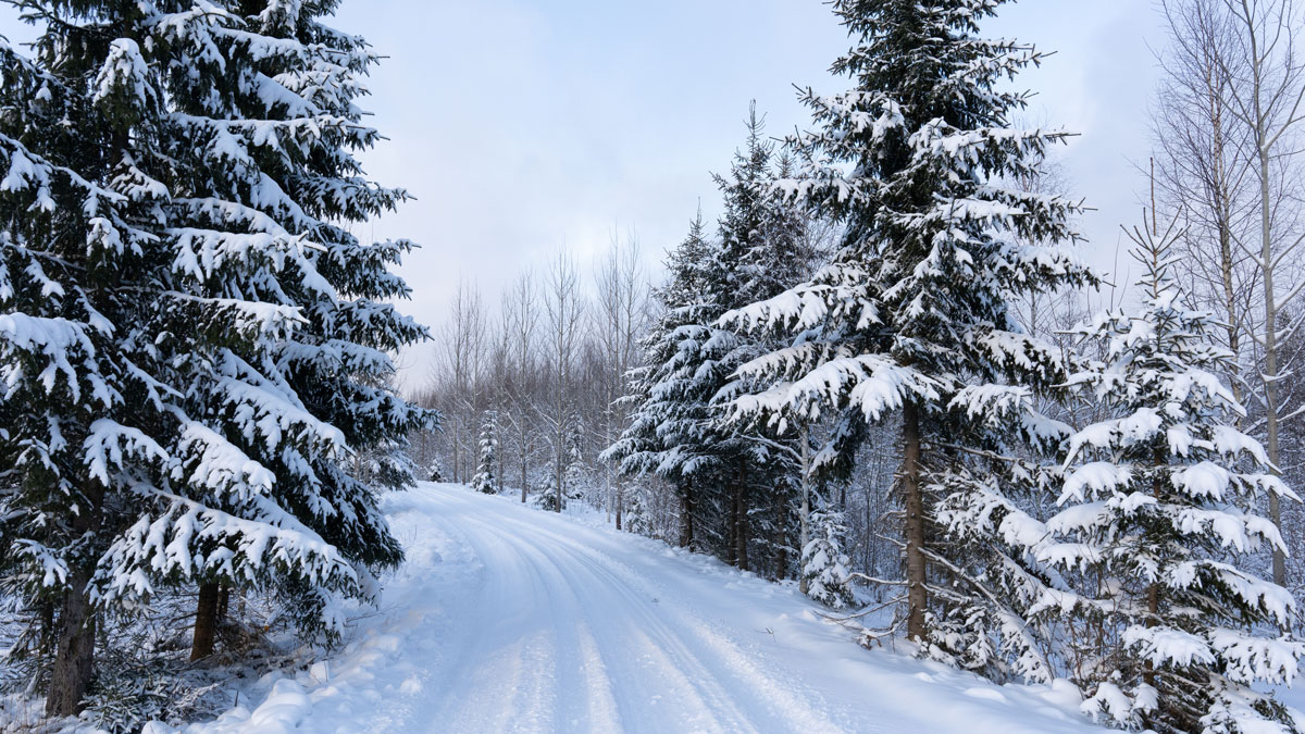 Upcoming-Trip-to-Russia