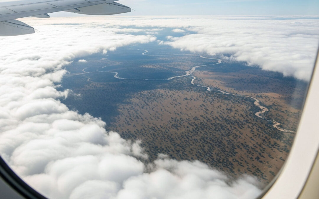 International Field Report