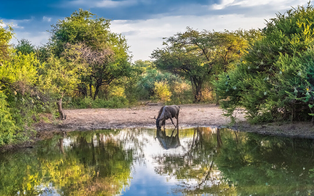 Live School Field Report From Rwanda