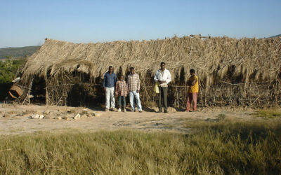 Live School Plants Churches