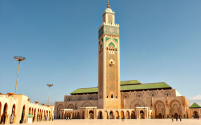 Mobilization Throughout North Africa and the Caribbean