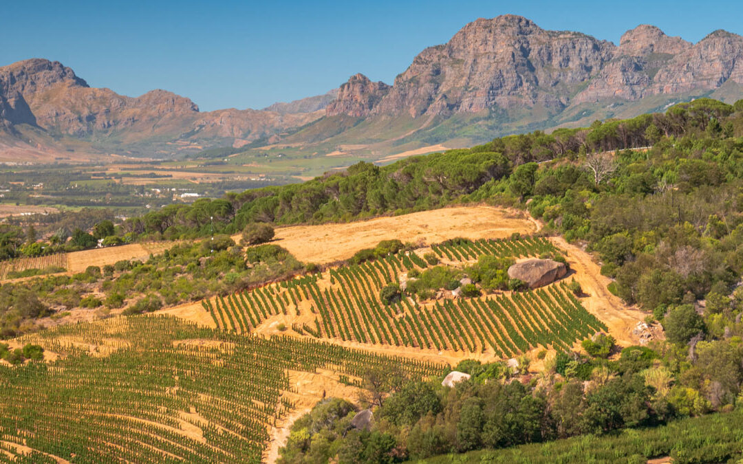 News Bullet – March 10