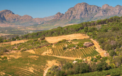 News Bullet – March 10