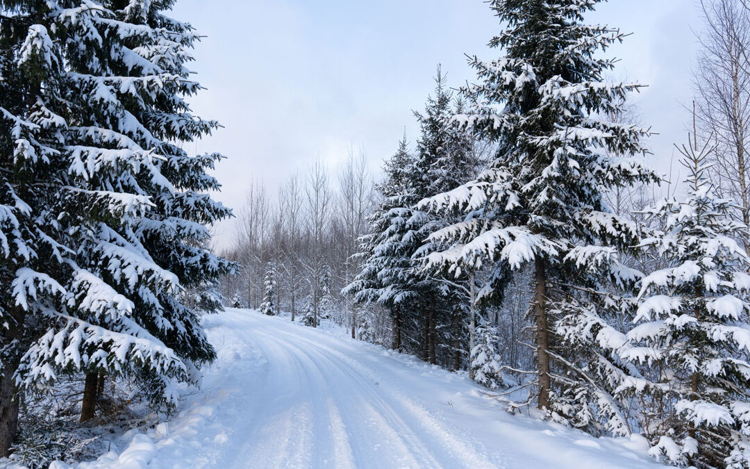 Upcoming Trip to Russia