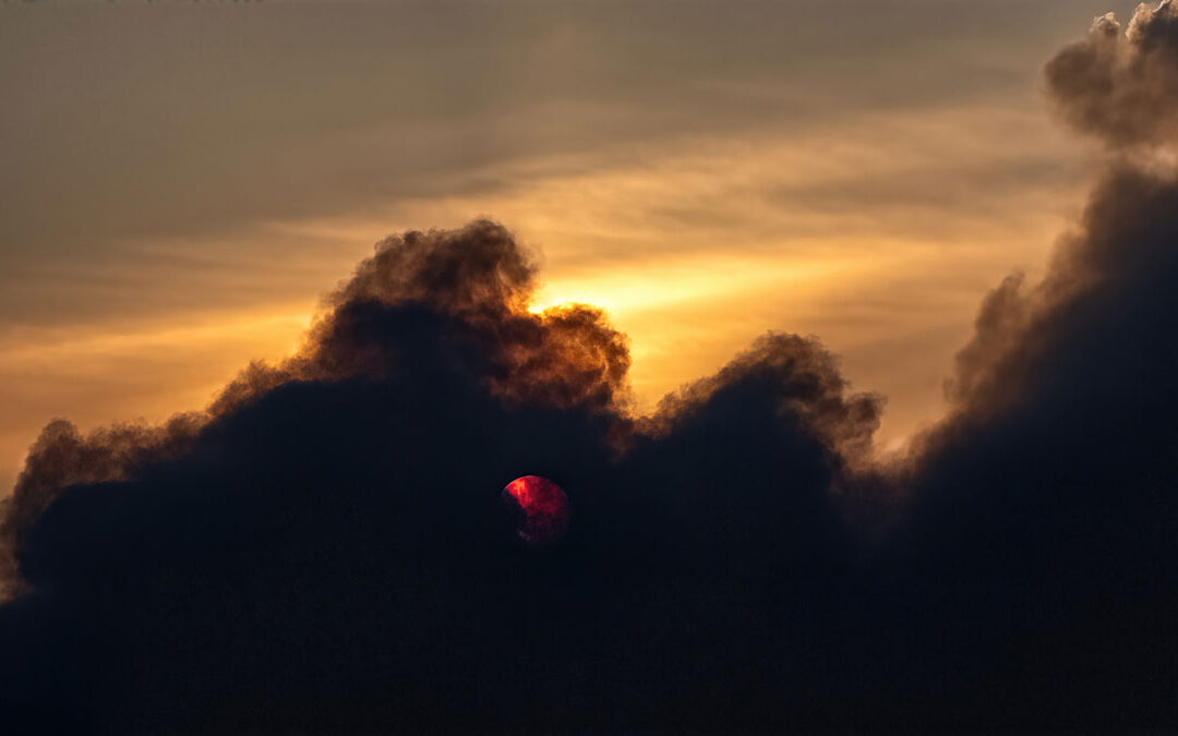 Walking in Obedience